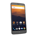 Picture of BZTEMAX XL